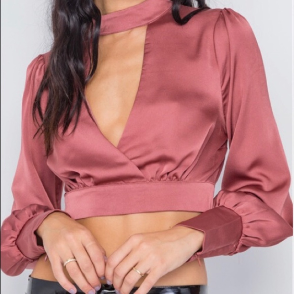 NWT Dusty Rose Satin Open Back Crop Top